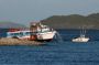 VI05 - 119 * An early morning ferry ran aground at St. John, USVI.